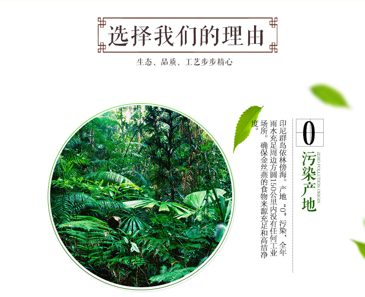 燕窝详情_06.jpg