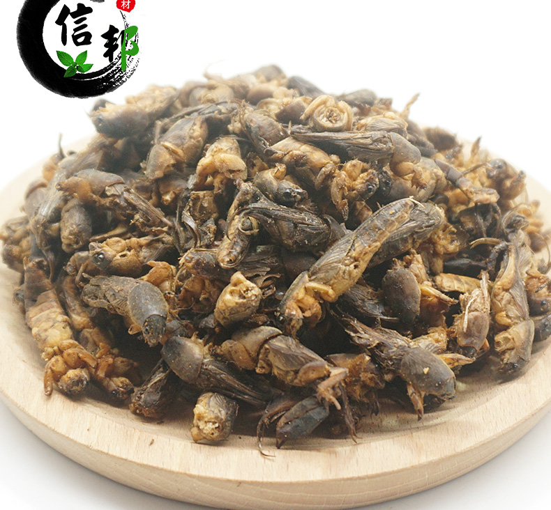 土狗子详情psd_07.jpg