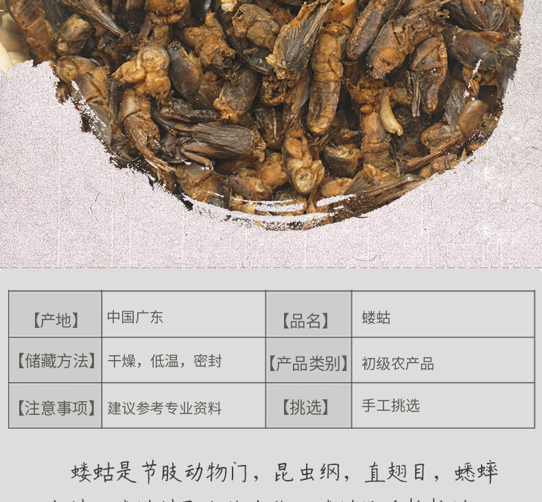 土狗子详情psd_2.jpg