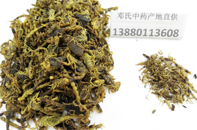 quanxieqingshui90ganal015.jpg