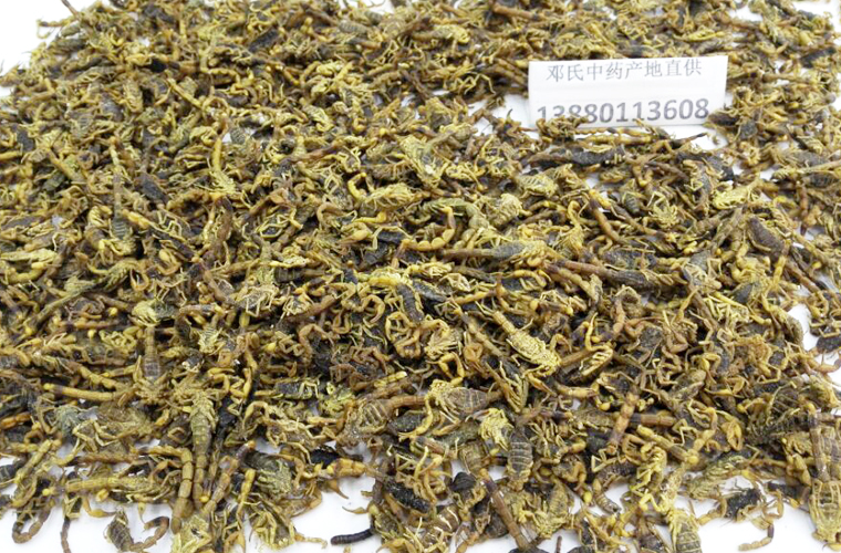quanxieyanshuiganhuoal014.jpg