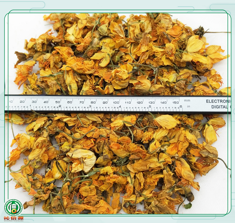 jinlianhuatong08.jpg