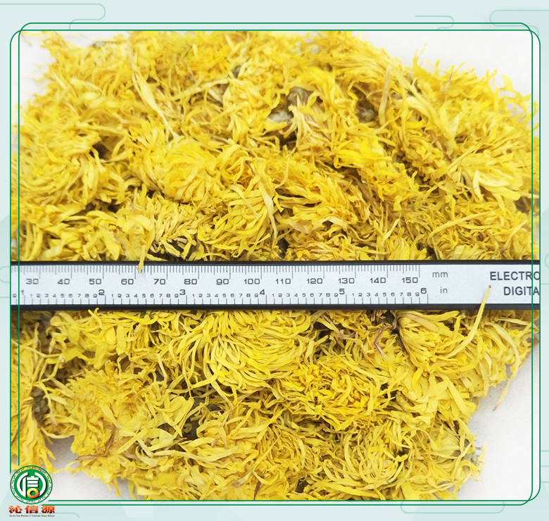 jinsihuangjutonghuo08.jpg