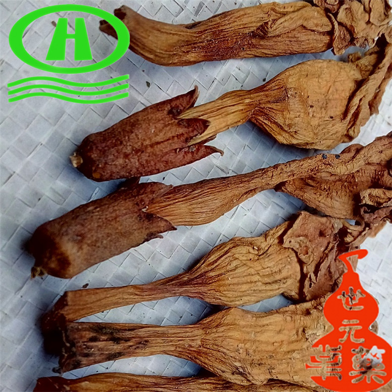 麻山药毛条刘扬~02.jpg