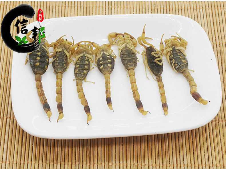 盐水全蝎_01.jpg