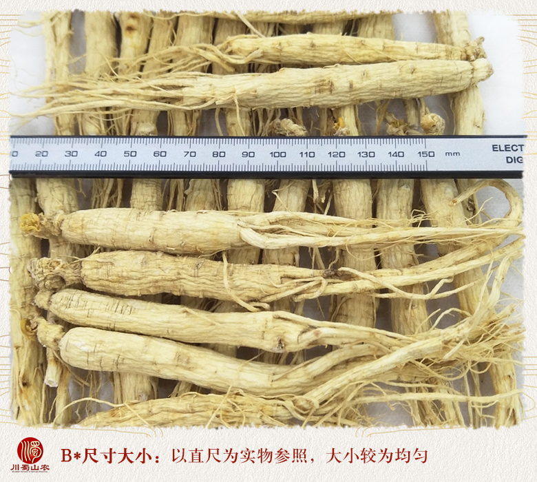 cstcssnrenshenzhengfu60zhi09.jpg