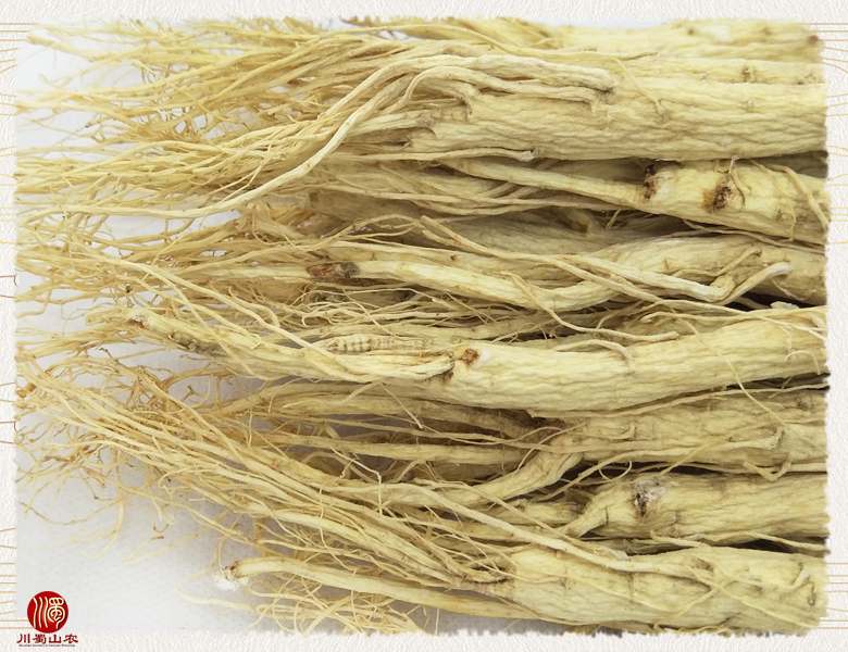 cstcssnrenshenzhengfu60zhi014.jpg