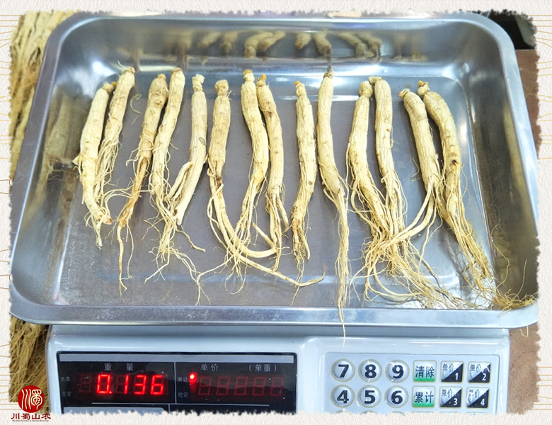 cstcssnrenshenzhengfu60zhi013.jpg