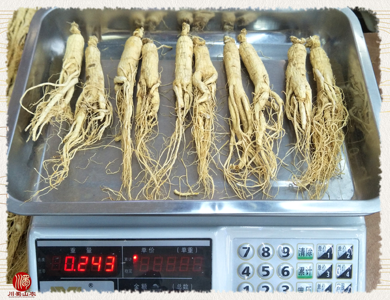 cstcssnrenshenzhengfu20zhi013.jpg
