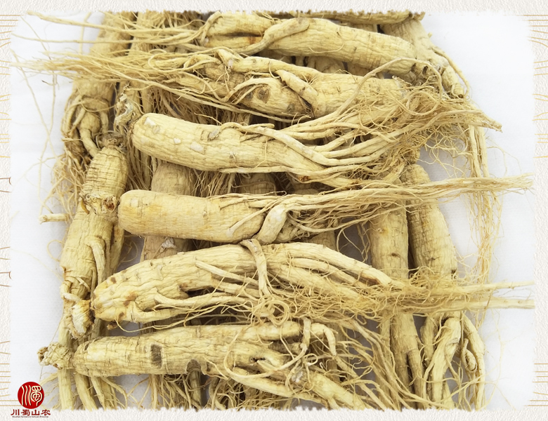 cstcssnrenshenzhengfu20zhi015.jpg