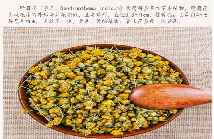 野菊花3.jpg