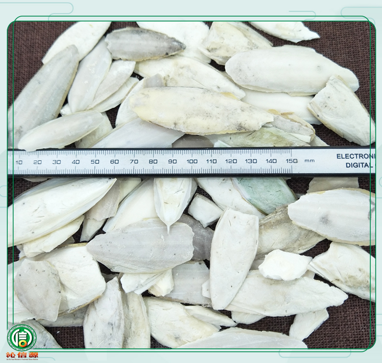 haipiaoxiaoxiaotong08.jpg