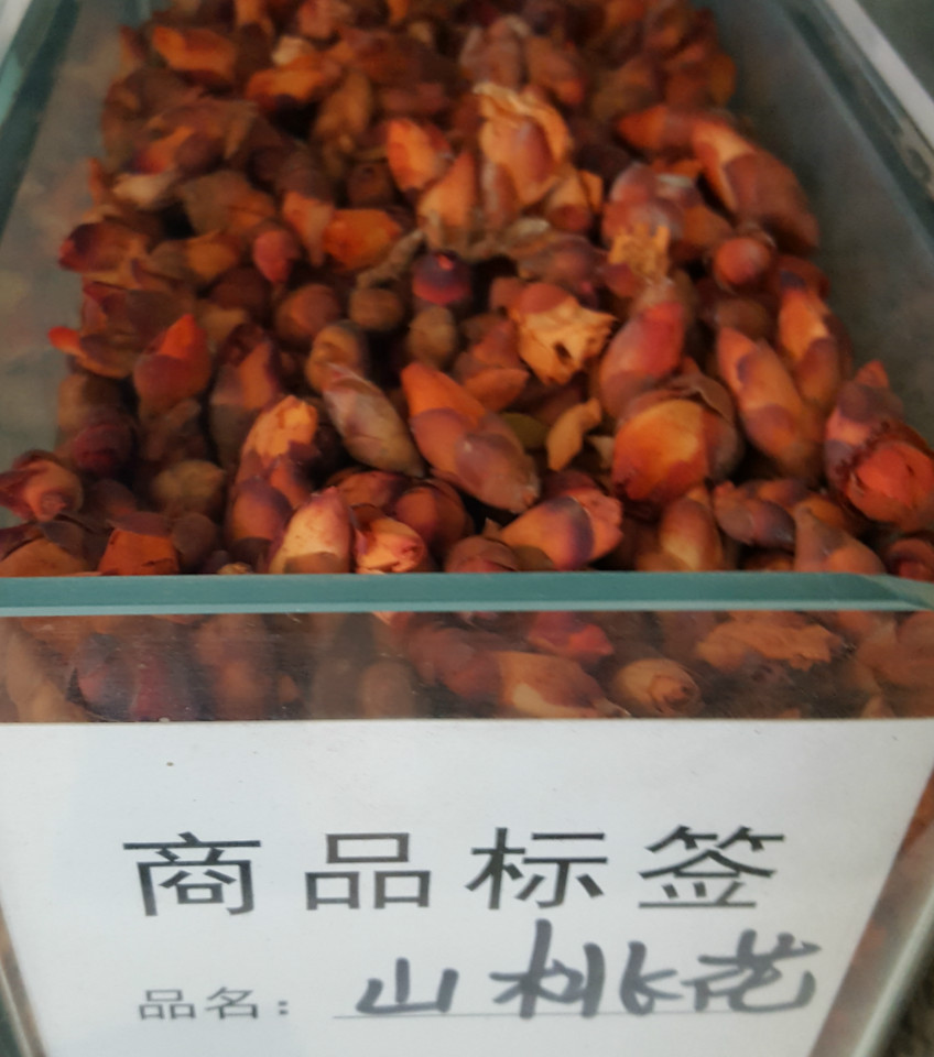 山桃花_meitu_3.jpg