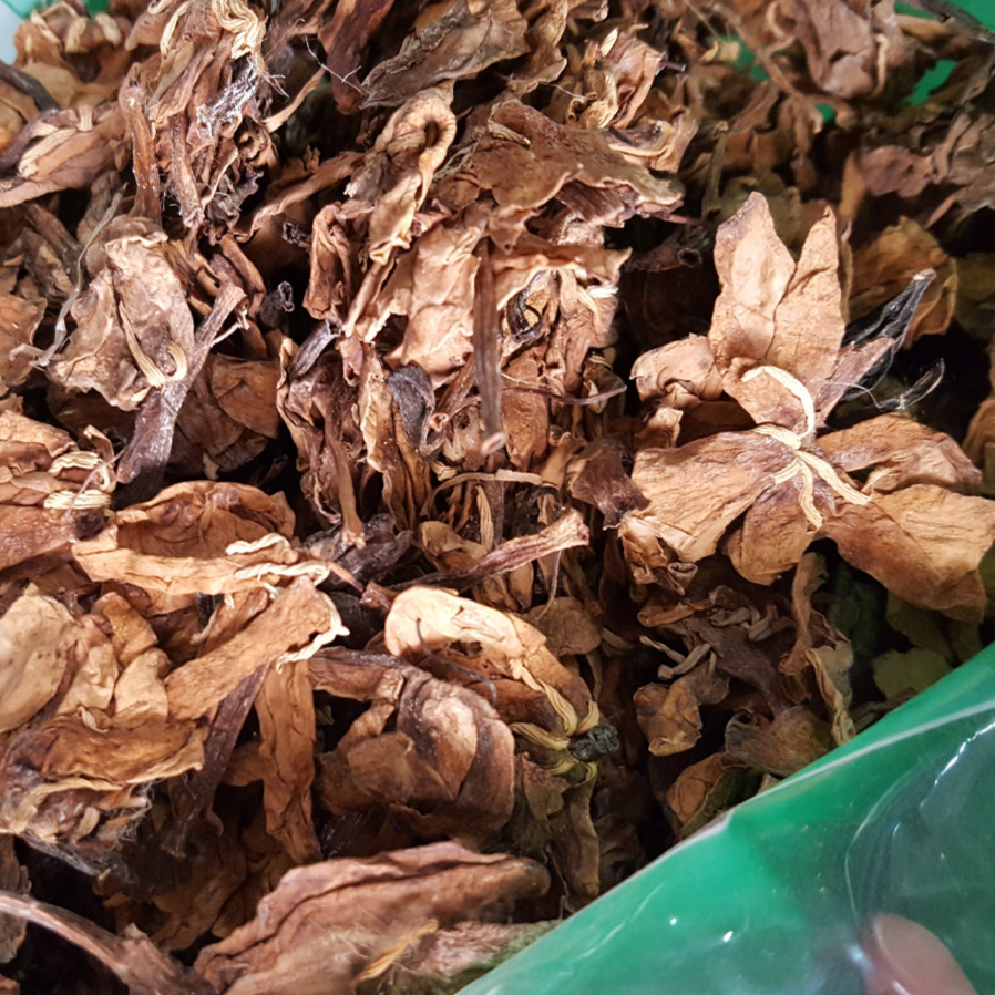 栀子花_meitu_2.jpg