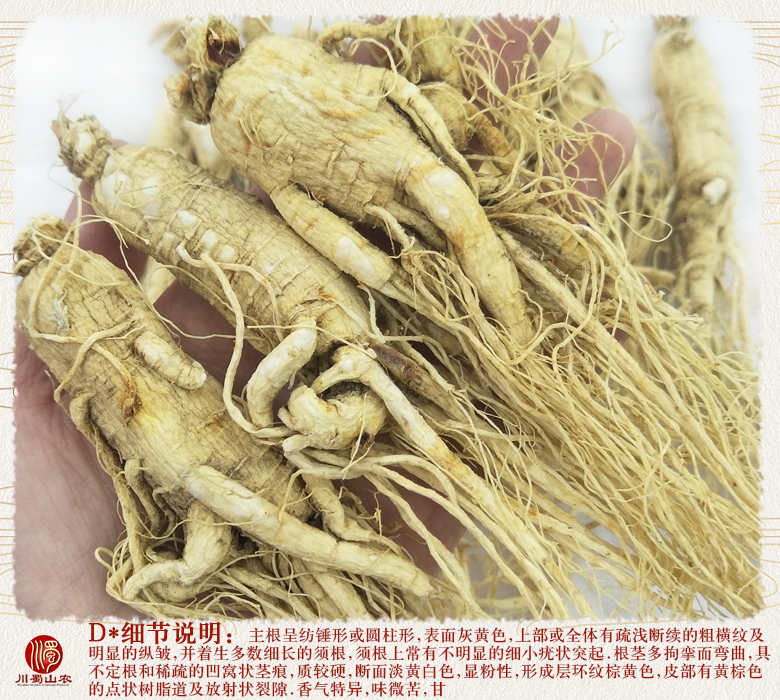 cstcssnrenshenzhengfu30zhi011.jpg