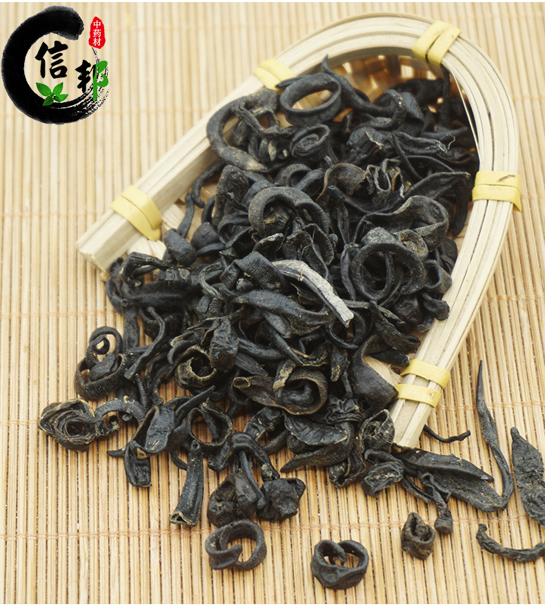 东北小黑条_07.jpg