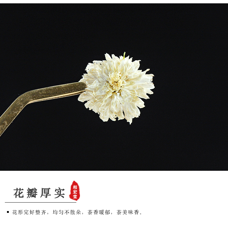 甜贡菊_04.jpg