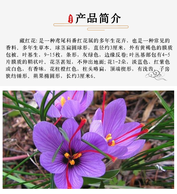 藏红花 (7).jpg