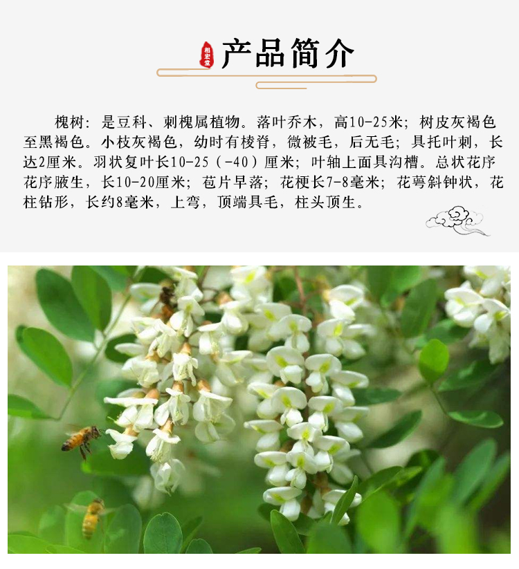 槐花_07.jpg
