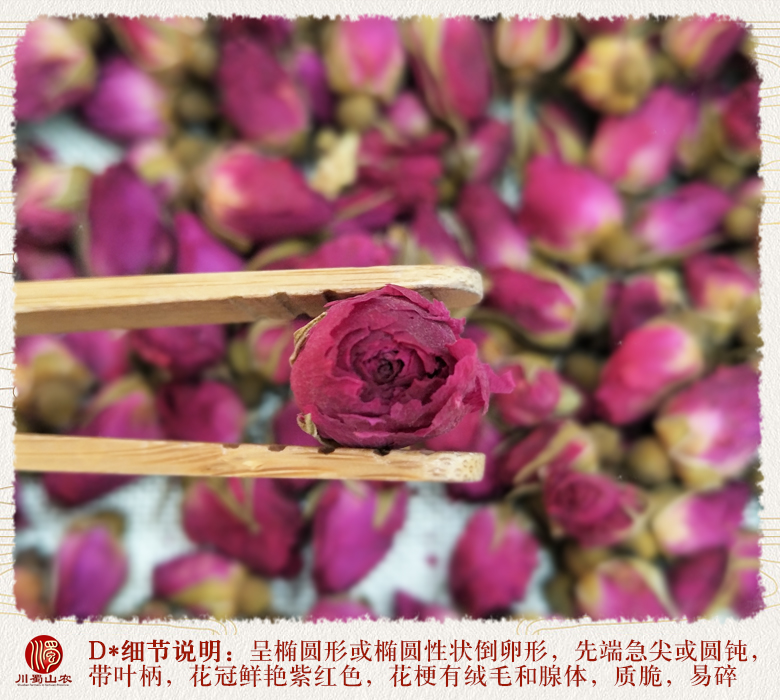 cstcssnmeiguihua012.jpg