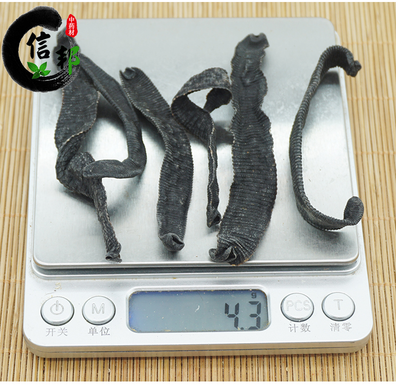 越南水蛭_06.jpg