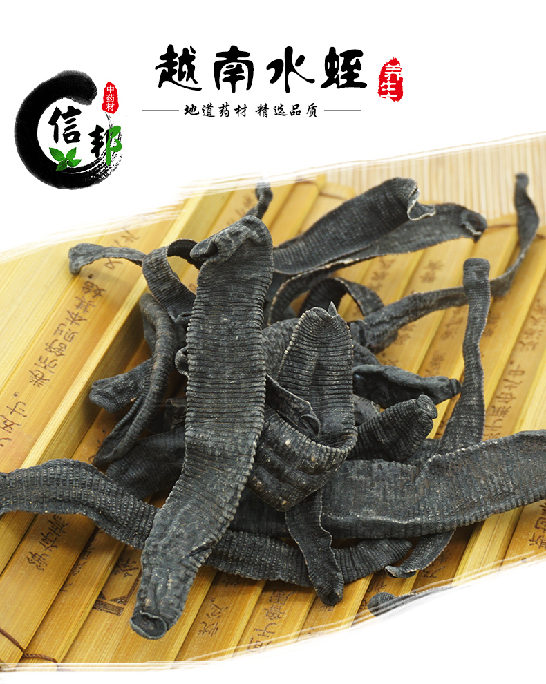 越南水蛭_01.jpg