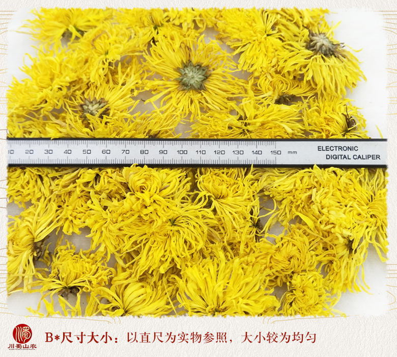 cstcssnjinsihuangjuxuanhuo09.jpg