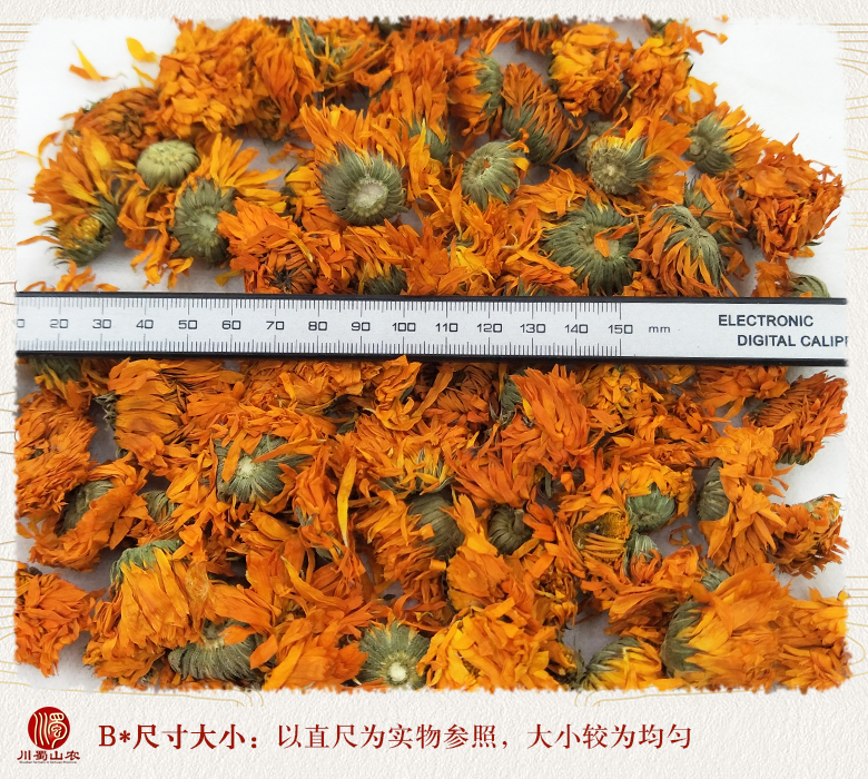 cstcssnjinzhanjuxuanhuo09.jpg
