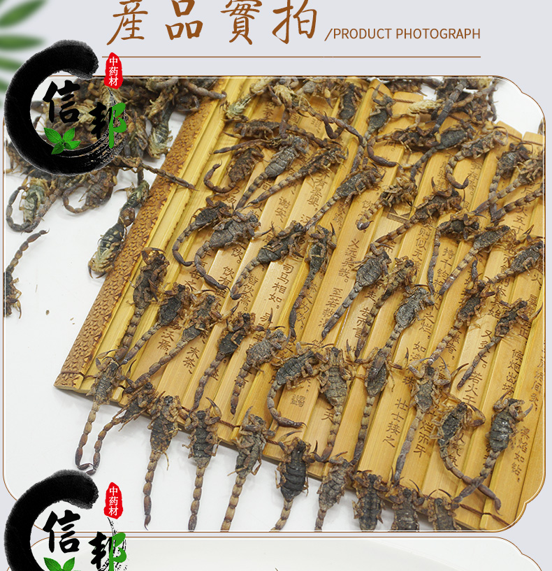 全蝎详情_06.jpg