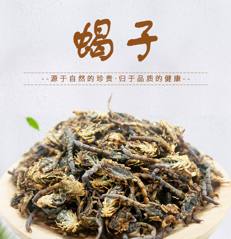 全蝎详情_01.jpg