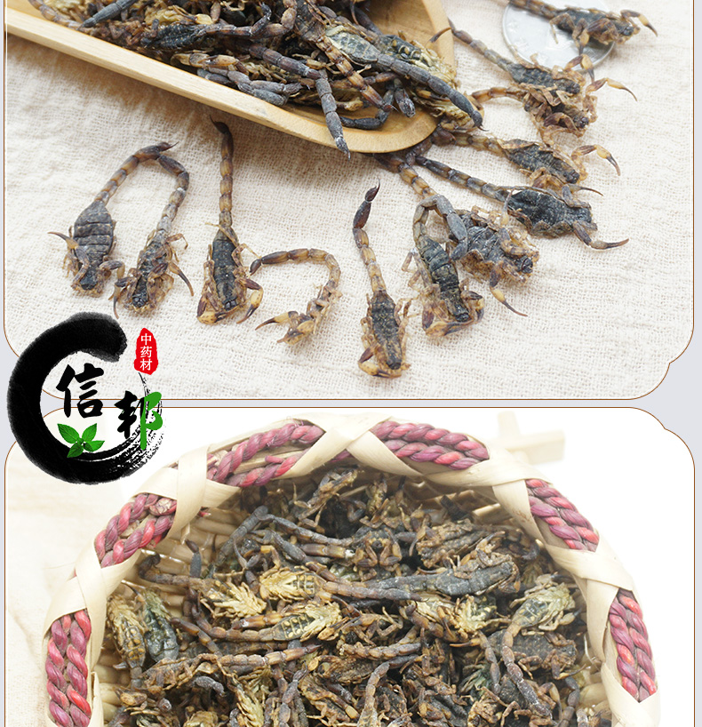 全蝎详情_08.jpg