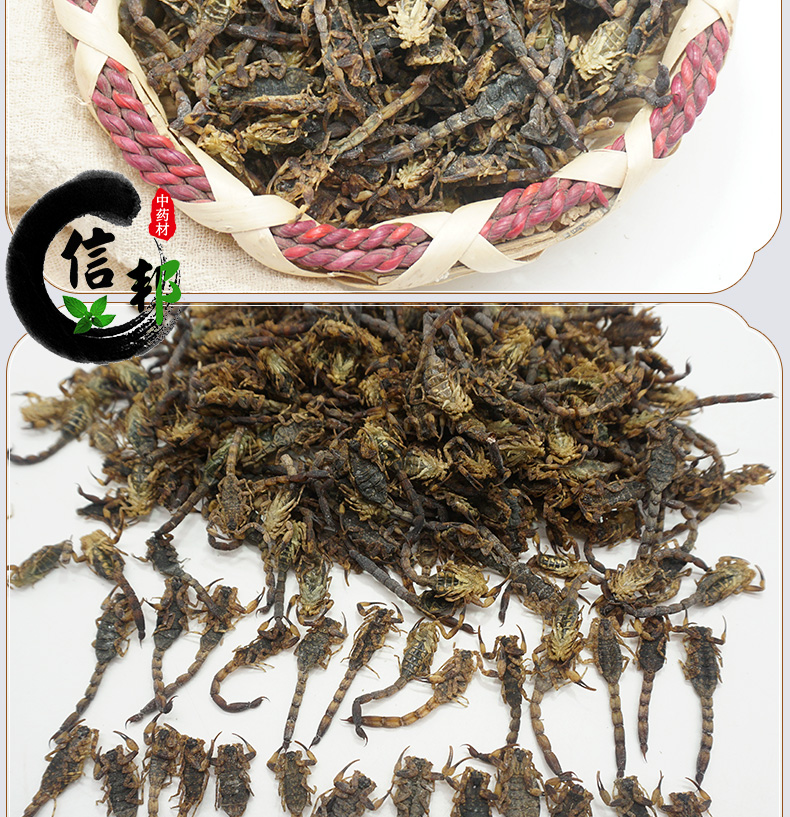 全蝎详情_09.jpg