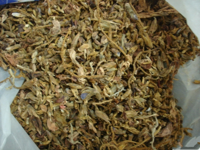105745_7983DSC04167.JPG