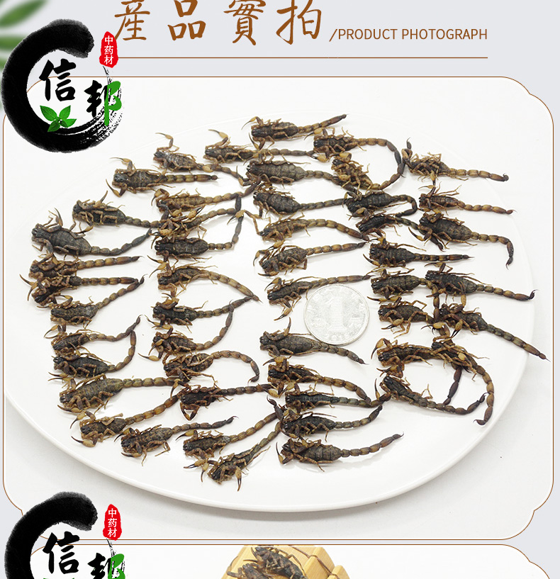 小全蝎详情_06.jpg