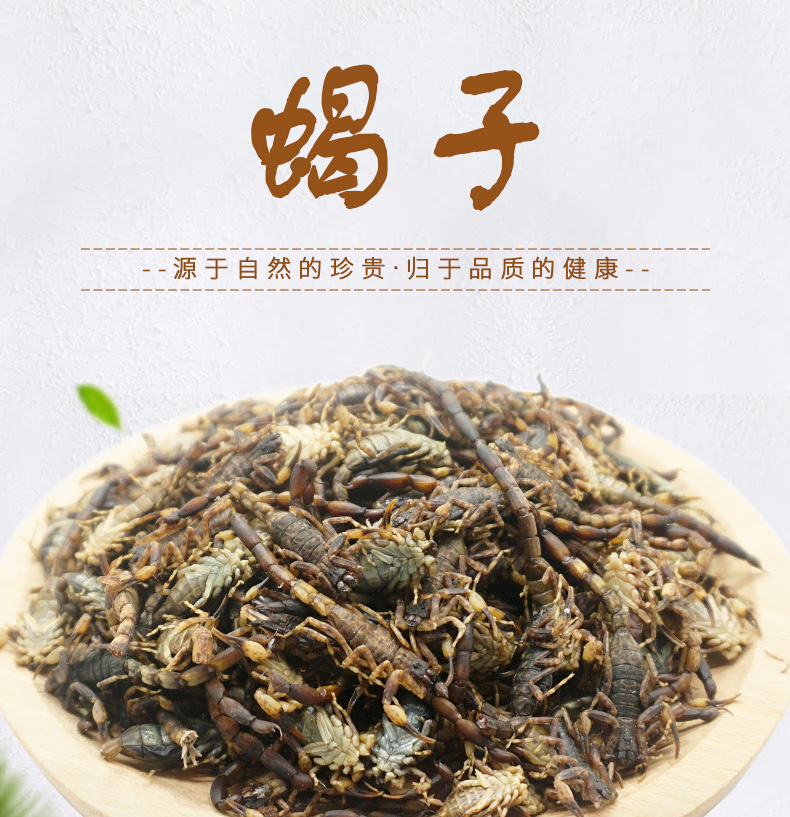 小全蝎详情_01.jpg