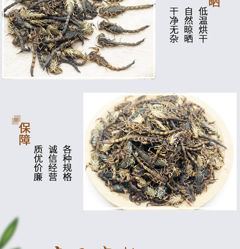 小全蝎详情_05.jpg
