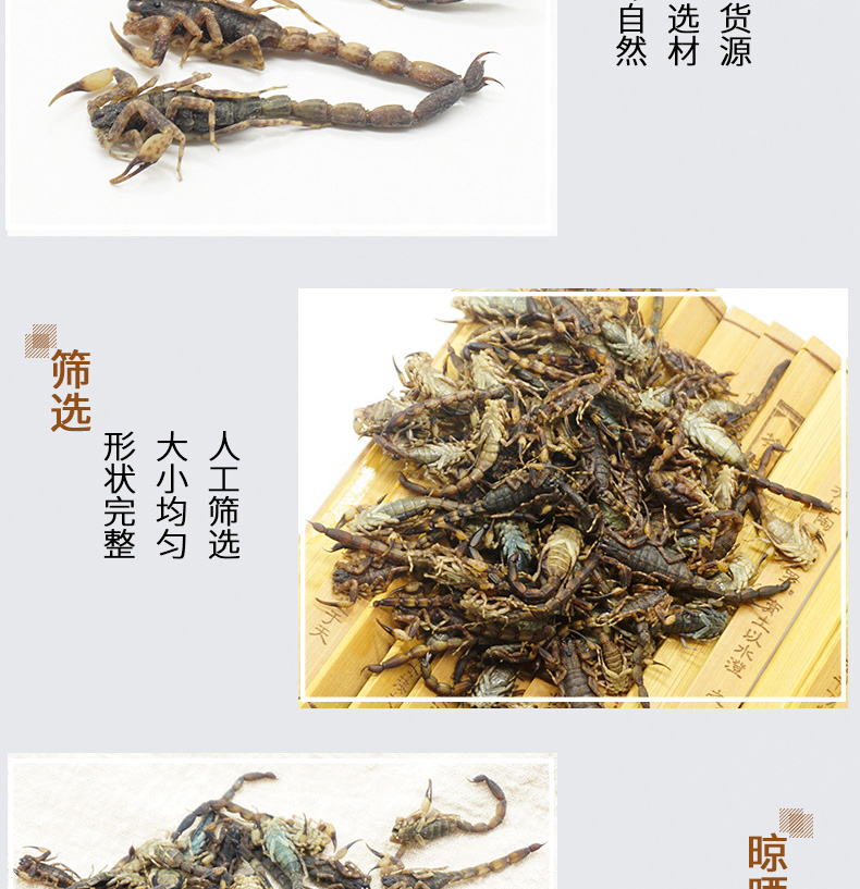 小全蝎详情_04.jpg