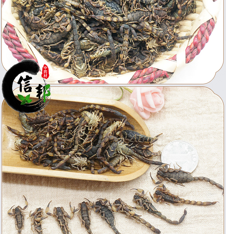 小全蝎详情_09.jpg