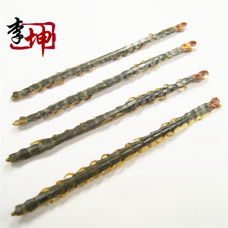 蜈蚣中条12146.jpg