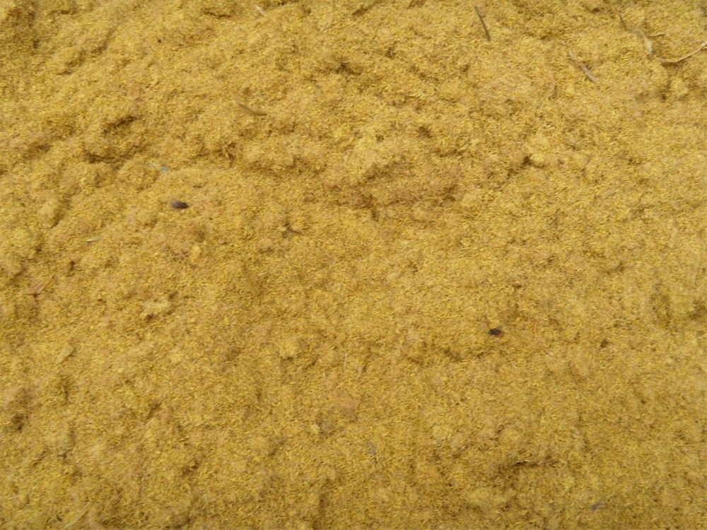 80388_5389SDC10897.jpg
