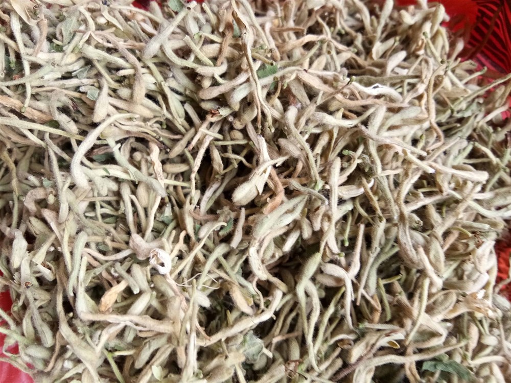 金银花 (1).jpg