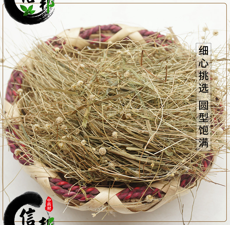 谷精草详情_05-05.jpg