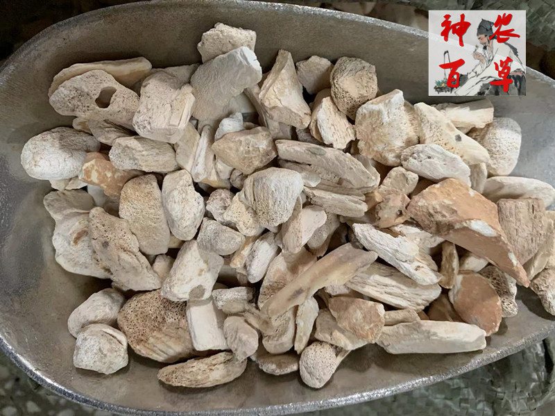 锻龙骨3.jpg