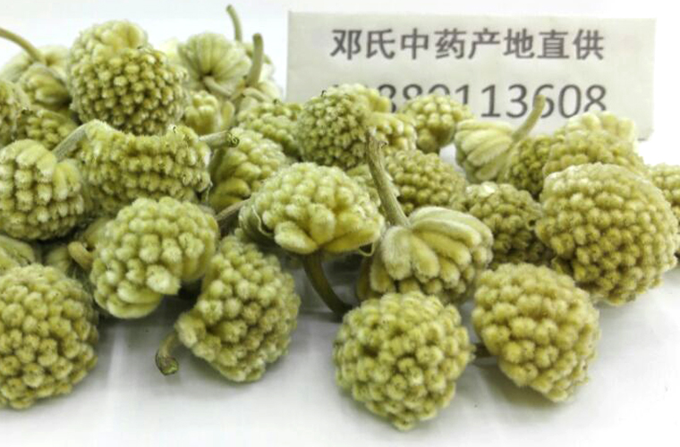 ganxieyupngjiadengshizhongyao01.jpg