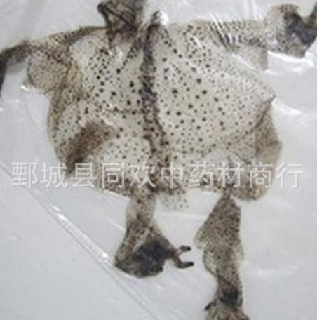 QQ截图20191208204853.png