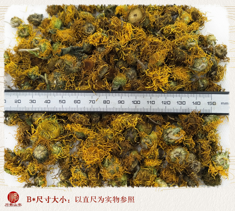 cstcssnxuanfuhuashenghuo09.jpg