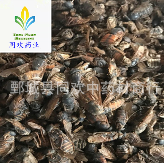 QQ截图20191212230237.png