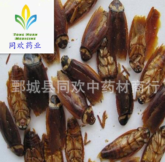 QQ截图20191217203642.png