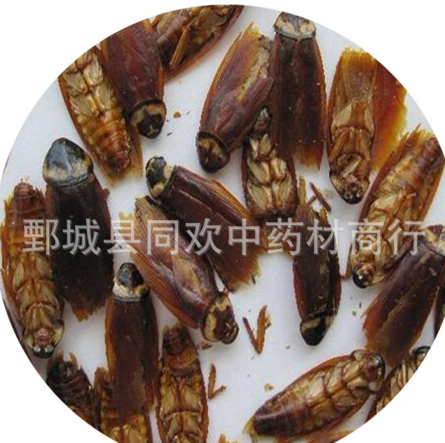 QQ截图20191217203653.png