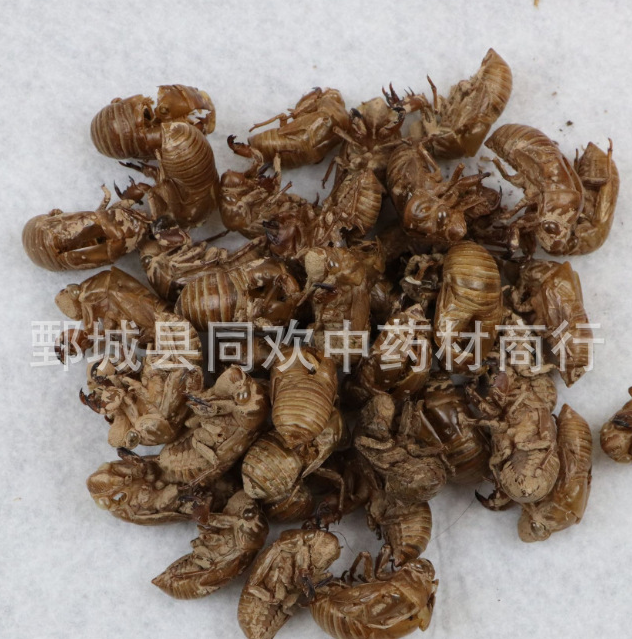 QQ截图20191212221315.png